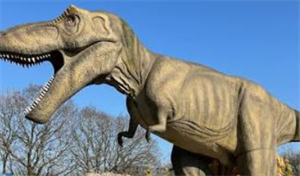 dino